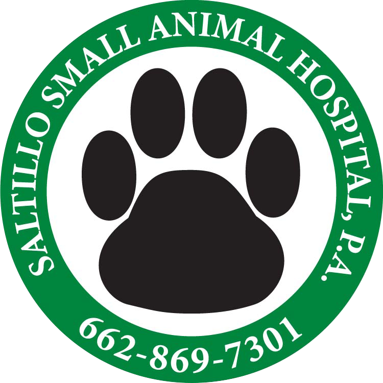 Saltillo Small Animal Hospital P.A.